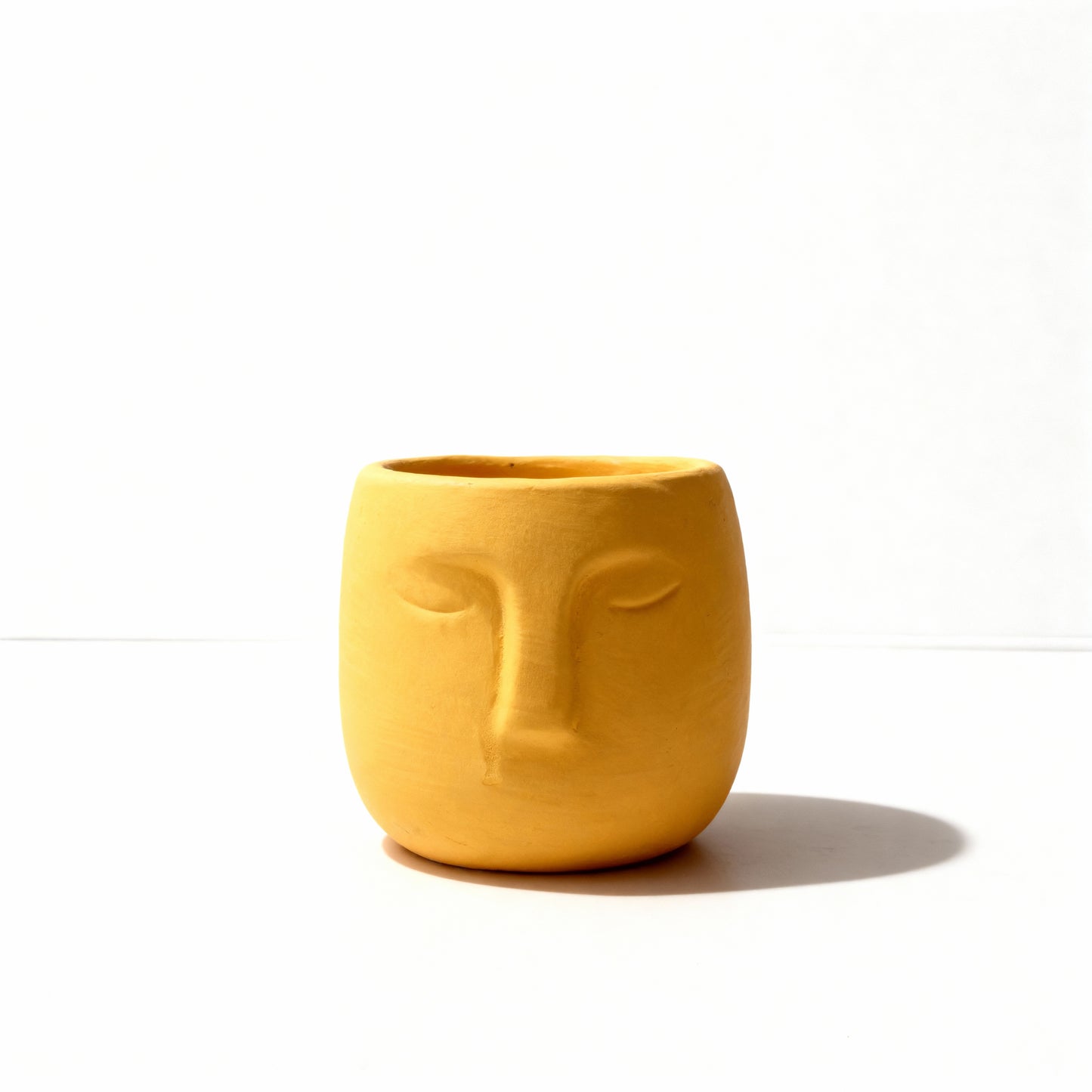 Minimal Face Terracotta Pot