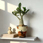 Adenium Desert – Artistic Hand-Painted Pot